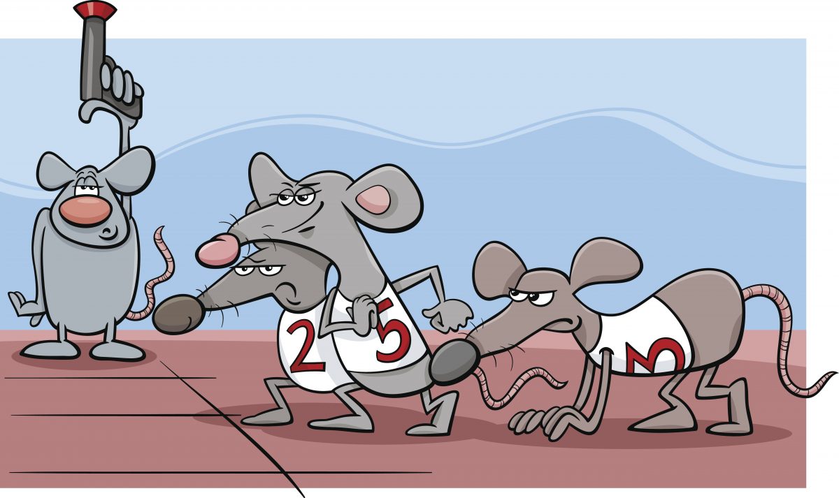 HAVE YOU EVER MET A RAT WHO WON THE RACE?